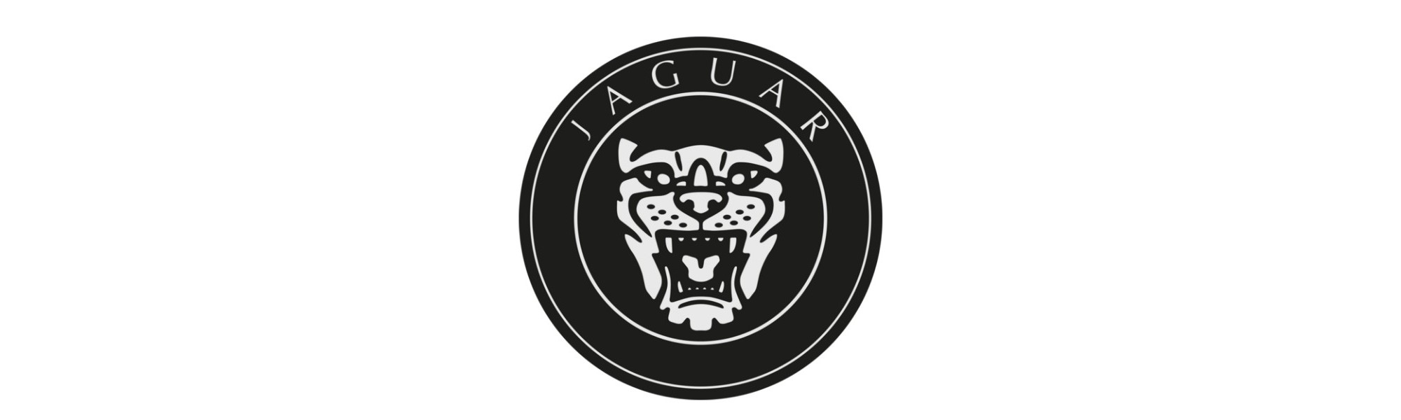 Pare-chocs pour Jaguar