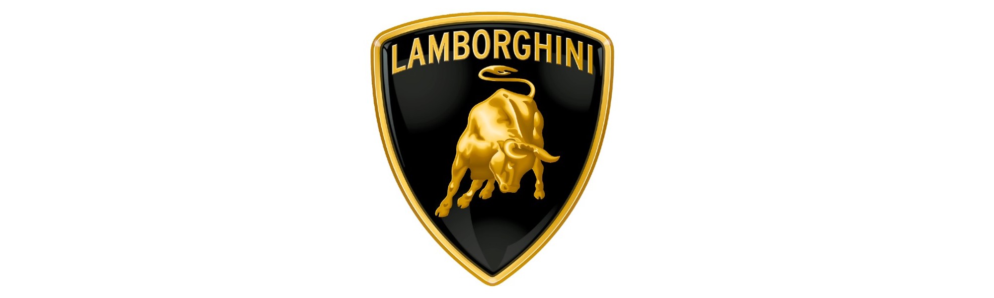 Pare-chocs pour Lamborghini